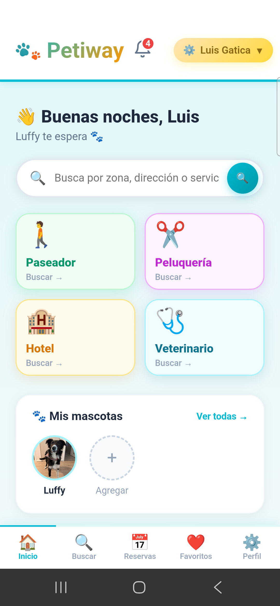 Inicio