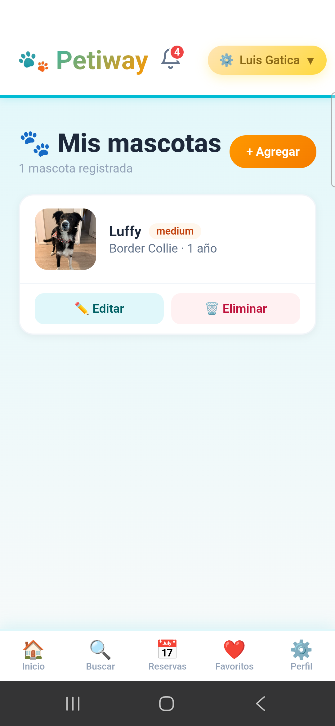 Mascotas
